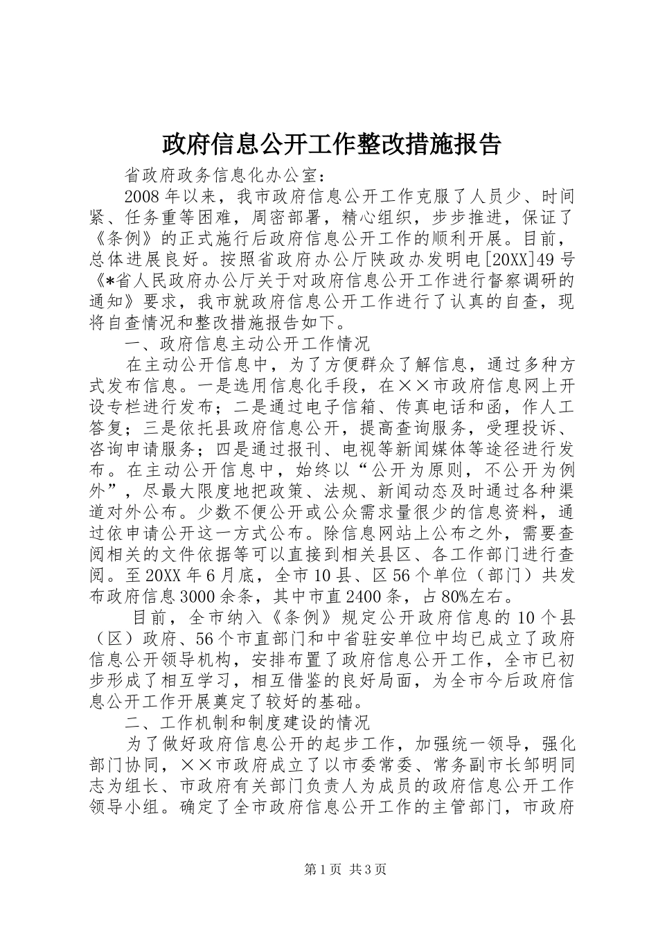 2024年政府信息公开工作整改措施报告_第1页