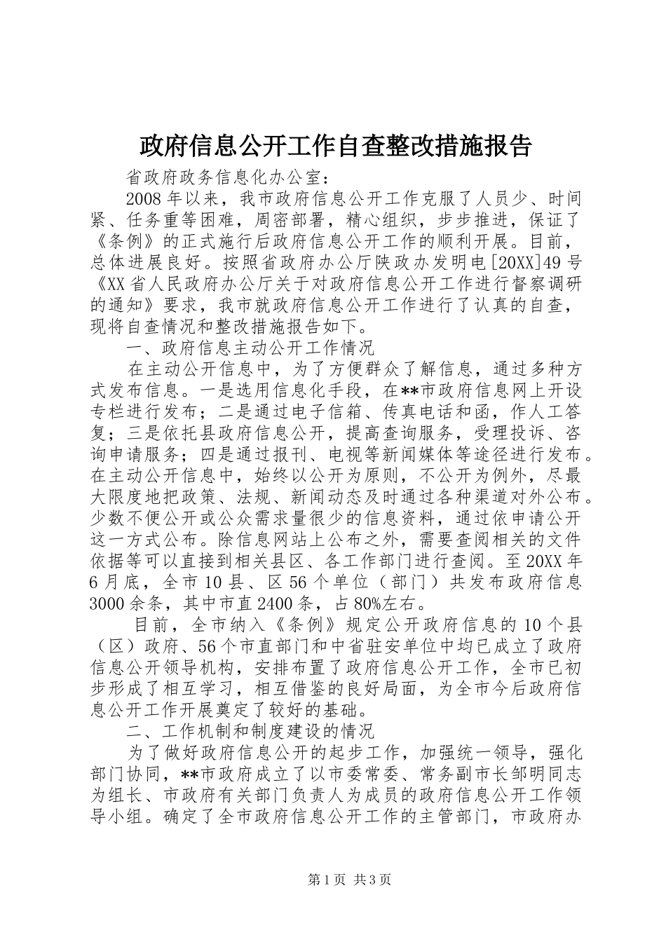 2024年政府信息公开工作自查整改措施报告_第1页