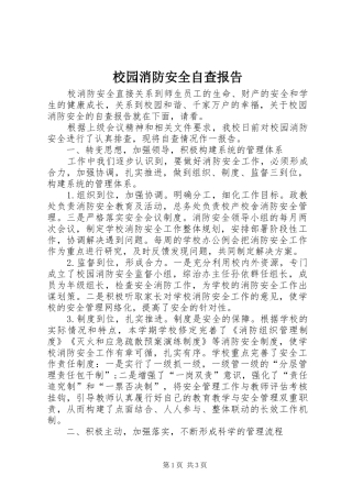 2024年校园消防安全自查报告