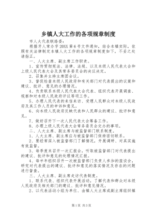 2024年乡镇人大工作的各项规章制度