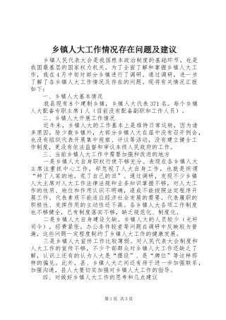2024年乡镇人大工作情况存在问题及建议