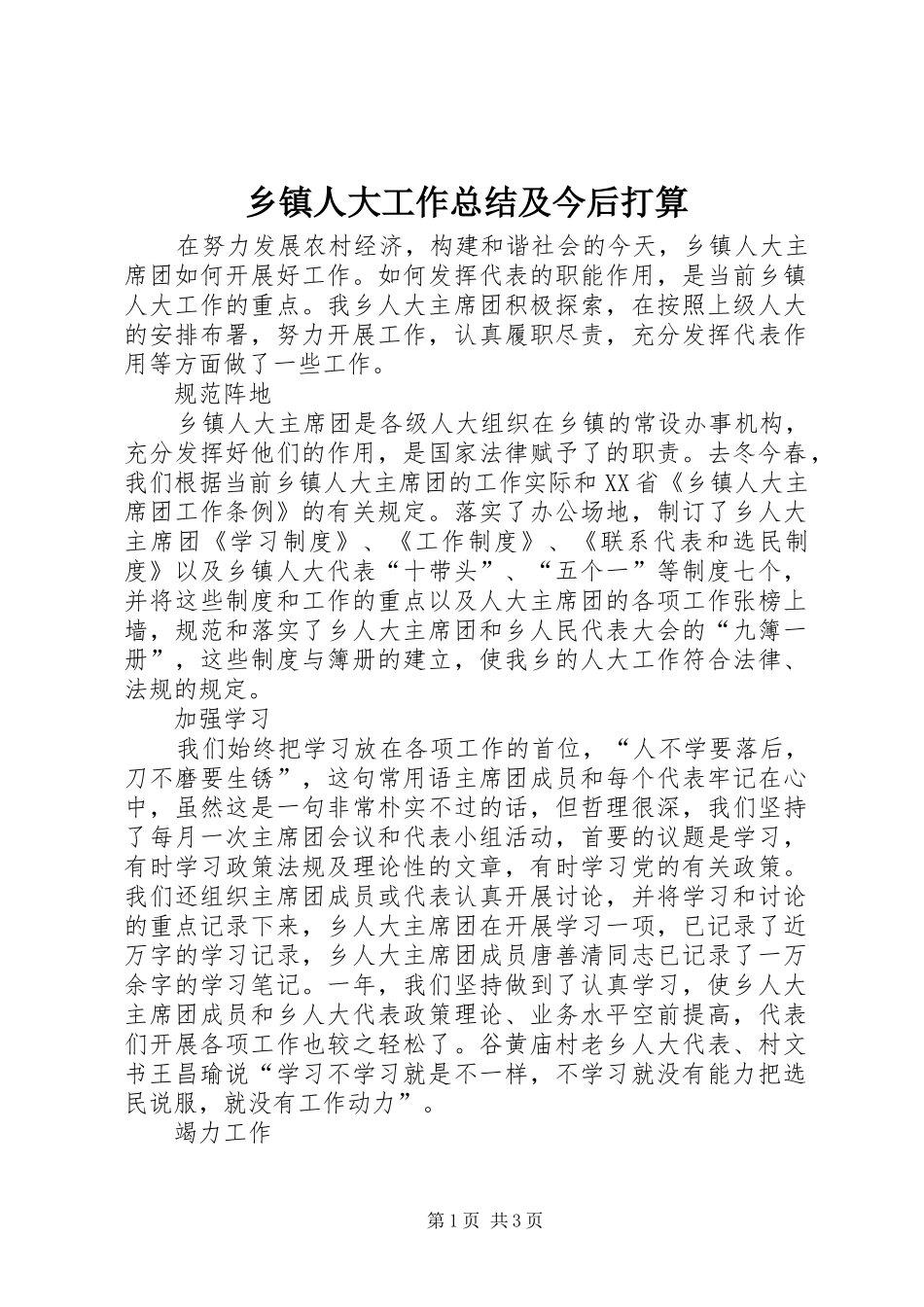 2024年乡镇人大工作总结及今后打算_第1页