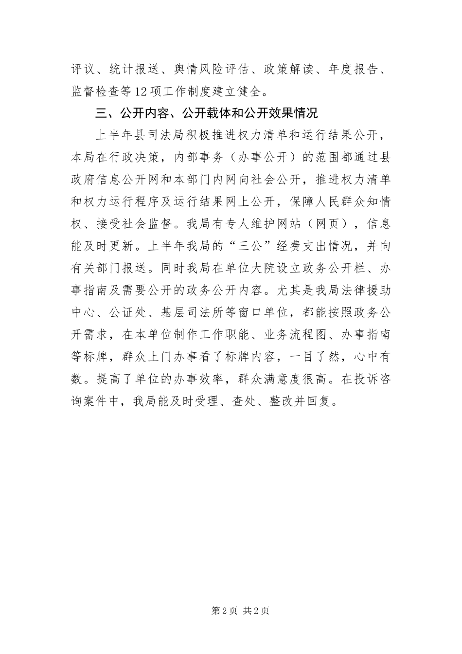 2024年政务公开督查和自查报告_第2页