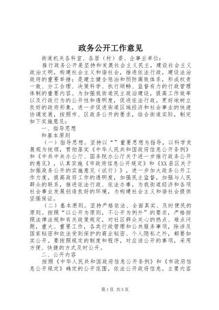 2024年政务公开工作意见