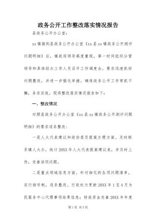 2024年政务公开工作整改落实情况报告