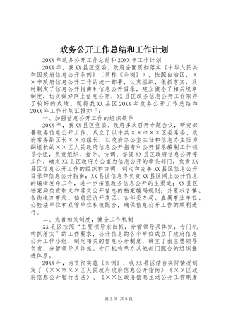 2024年政务公开工作总结和工作计划