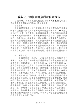 2024年政务公开和侵害群众利益自查报告