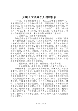 2024年乡镇人大领导个人述职报告