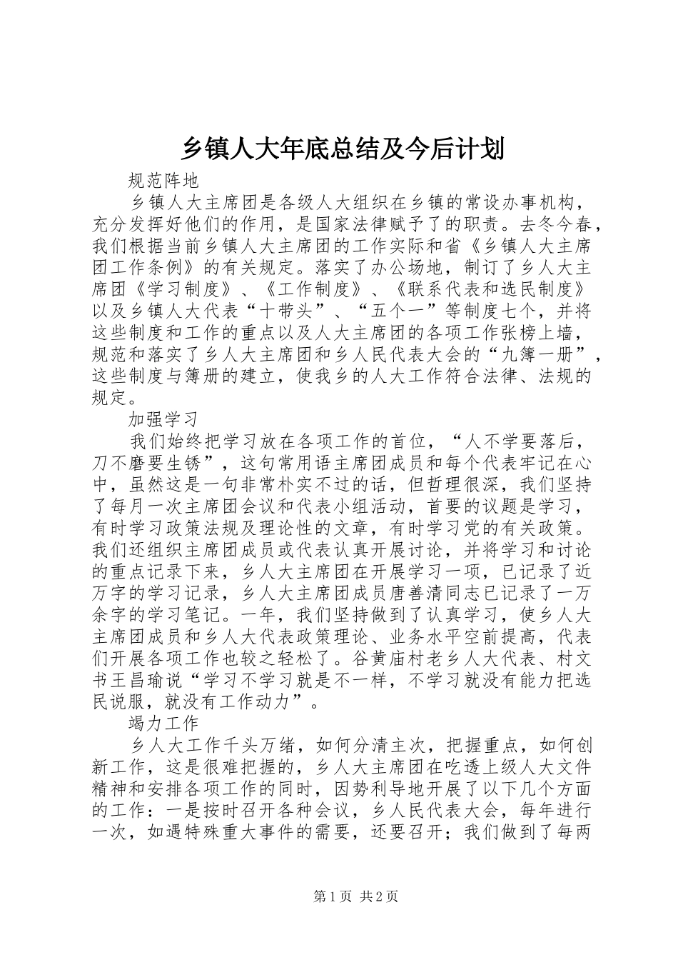 2024年乡镇人大年底总结及今后计划_第1页