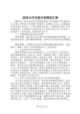2024年政务公开自检自查情况汇报