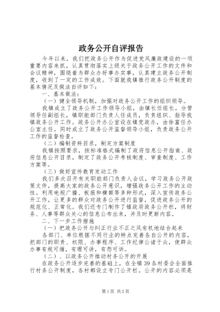 2024年政务公开自评报告