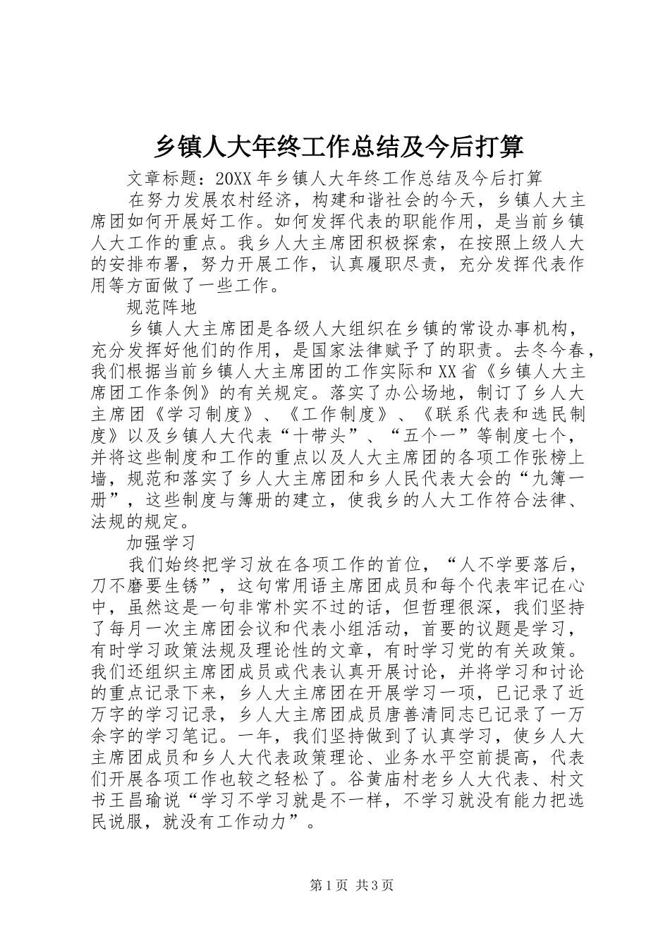 2024年乡镇人大年终工作总结及今后打算_第1页