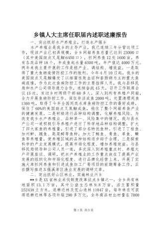 2024年乡镇人大主席任职届内述职述廉报告