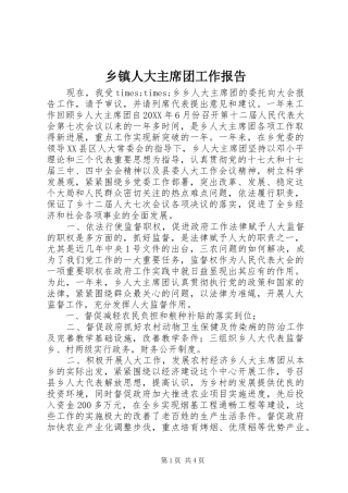 2024年乡镇人大主席团工作报告