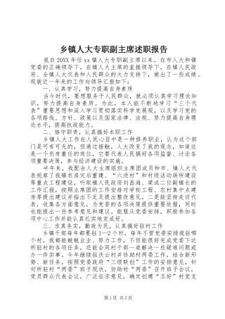 2024年乡镇人大专职副主席述职报告