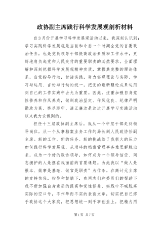 2024年政协副主席践行科学发展观剖析材料