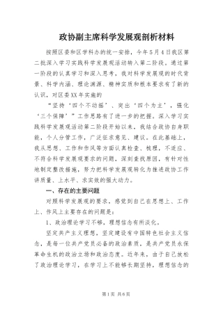 2024年政协副主席科学发展观剖析材料