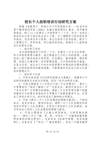 2024年校长个人挂职培训行动研究方案