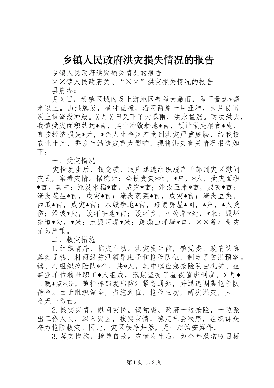 2024年乡镇人民政府洪灾损失情况的报告_第1页