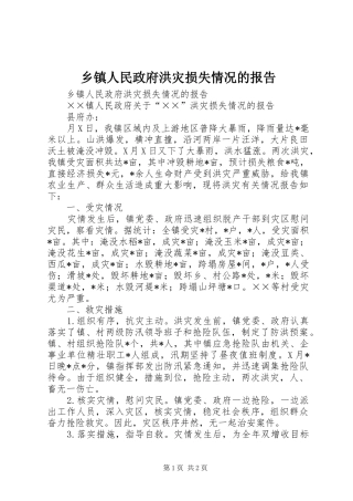 2024年乡镇人民政府洪灾损失情况的报告