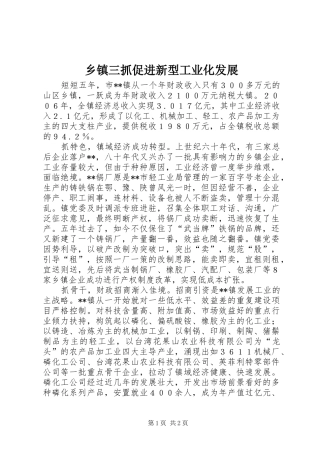 2024年乡镇三抓促进新型工业化发展