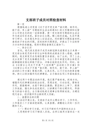 2024年支部班子成员对照检查材料