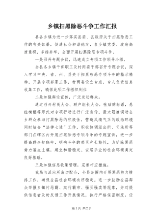 2024年乡镇扫黑除恶斗争工作汇报