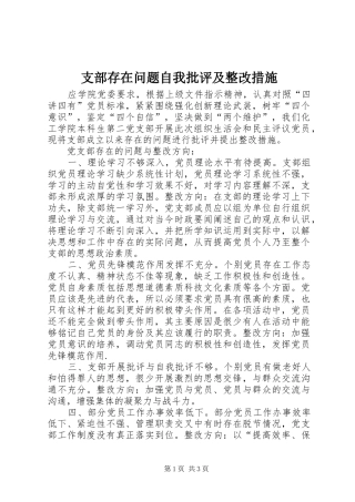 2024年支部存在问题自我批评及整改措施