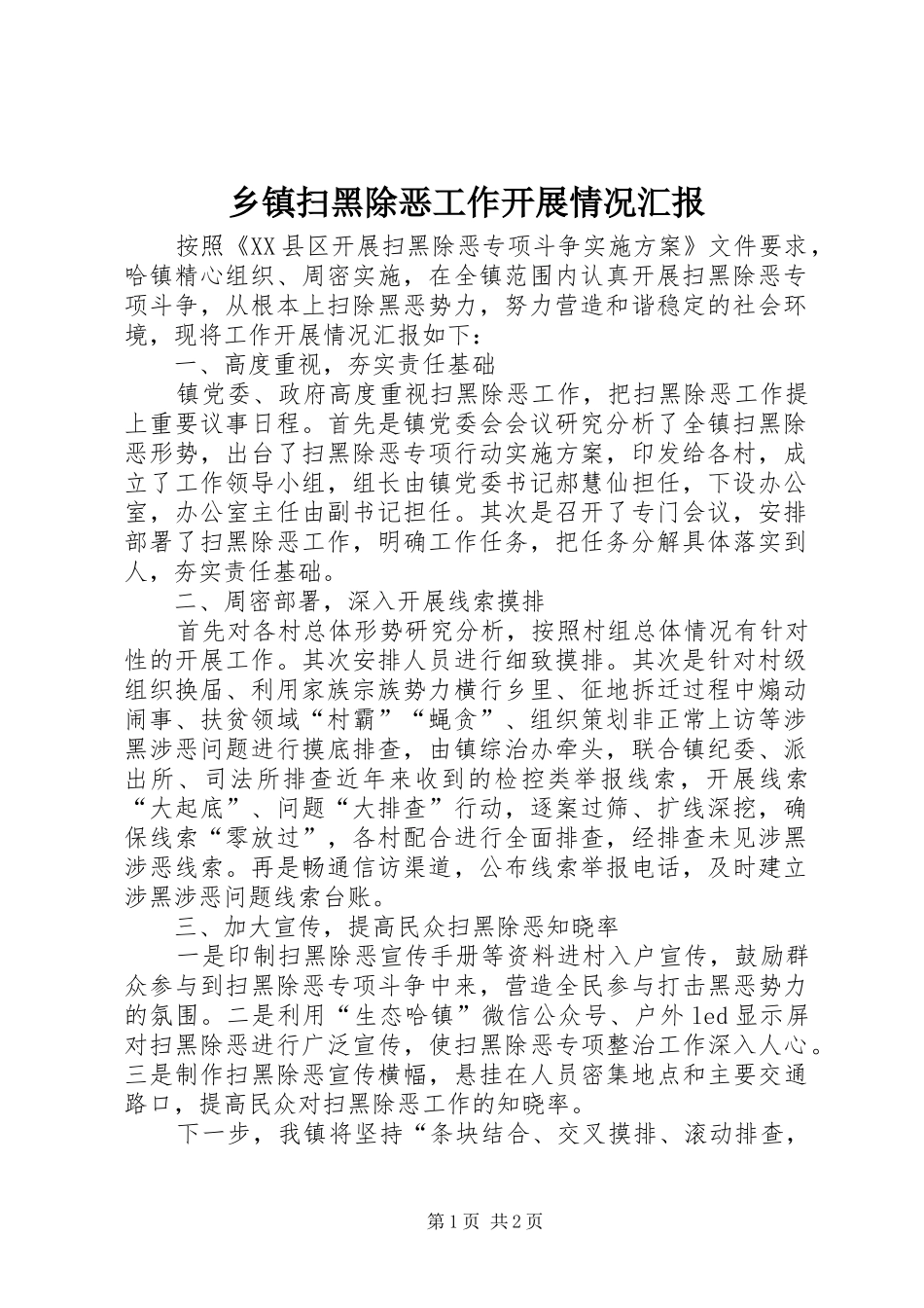 2024年乡镇扫黑除恶工作开展情况汇报_第1页