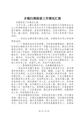 2024年乡镇扫黑除恶工作情况汇报