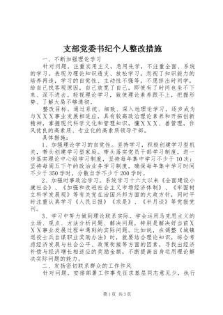 2024年支部党委书纪个人整改措施