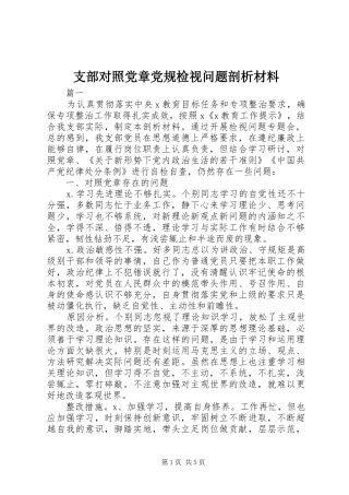 2024年支部对照党章党规检视问题剖析材料