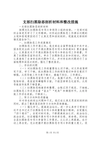 2024年支部扫黑除恶剖析材料和整改措施