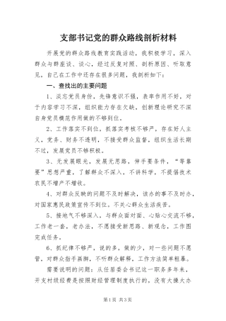 2024年支部书记党的群众路线剖析材料