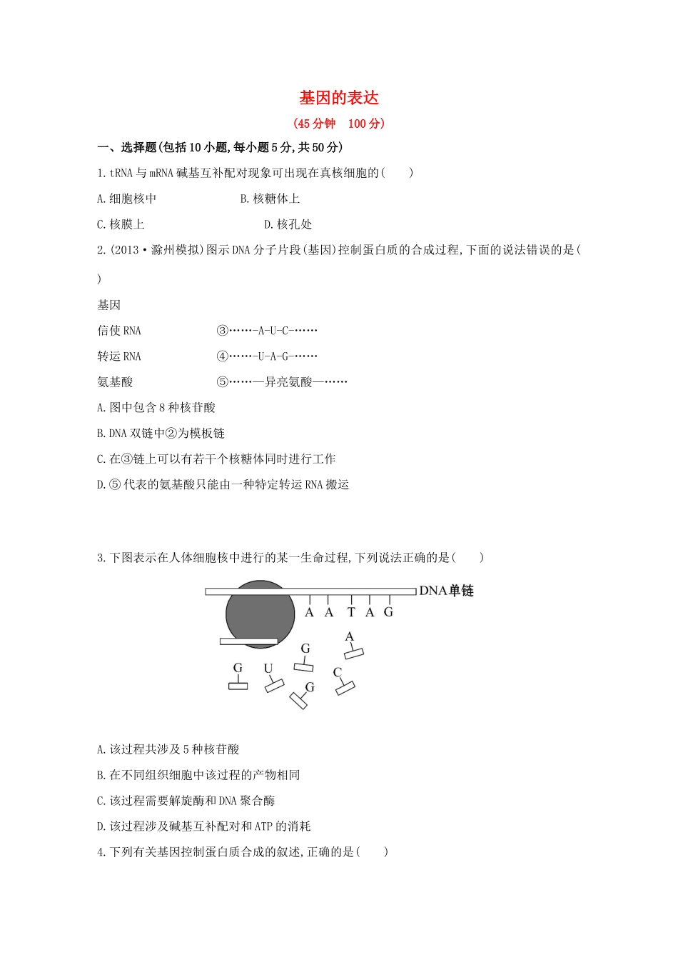 高考生物 基因的表达课时作业_第1页