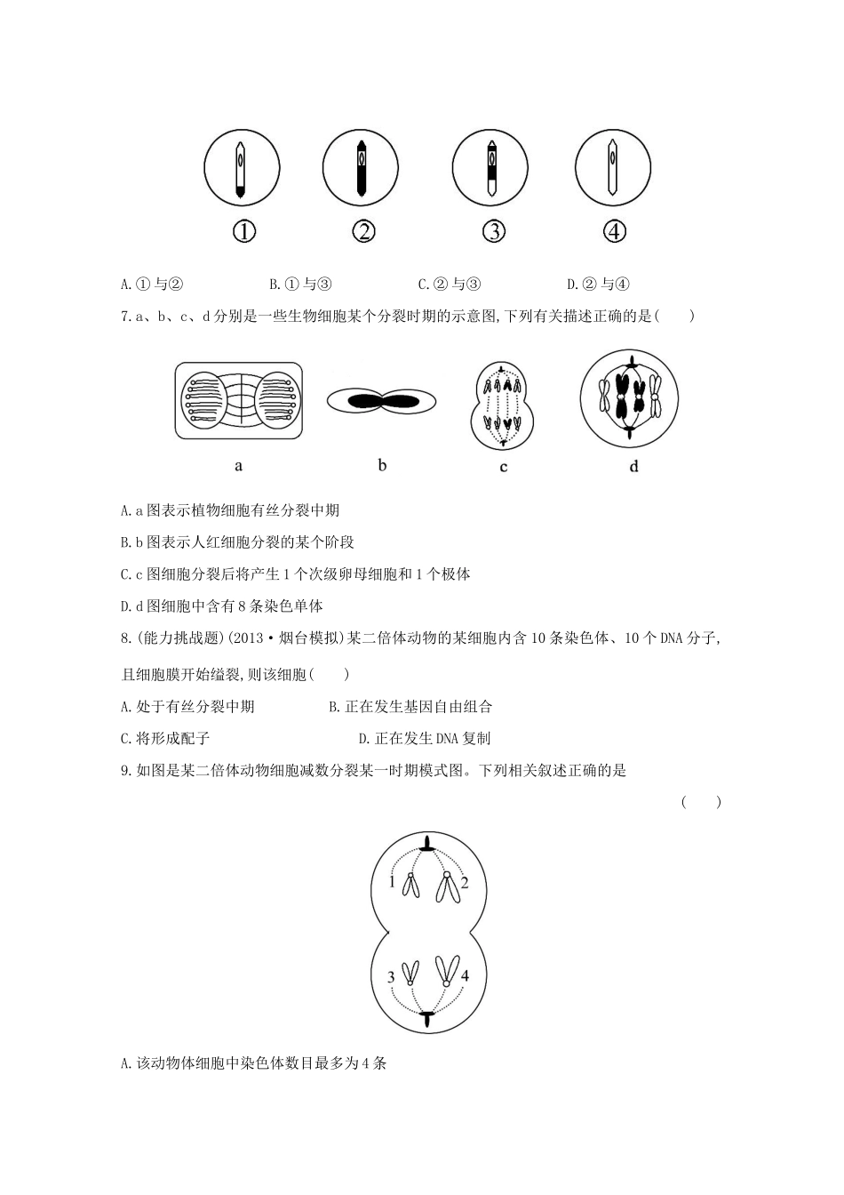 高考生物 减数分裂和受精作用课时作业_第3页