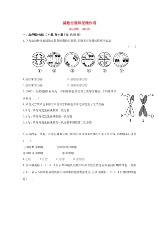 高考生物 减数分裂和受精作用课时作业
