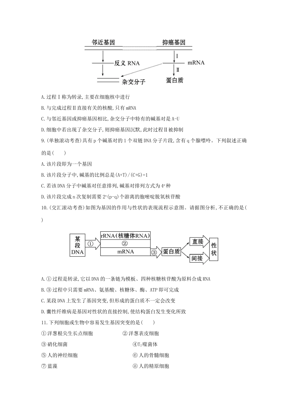 高考生物 阶段滚动检测（四）_第3页