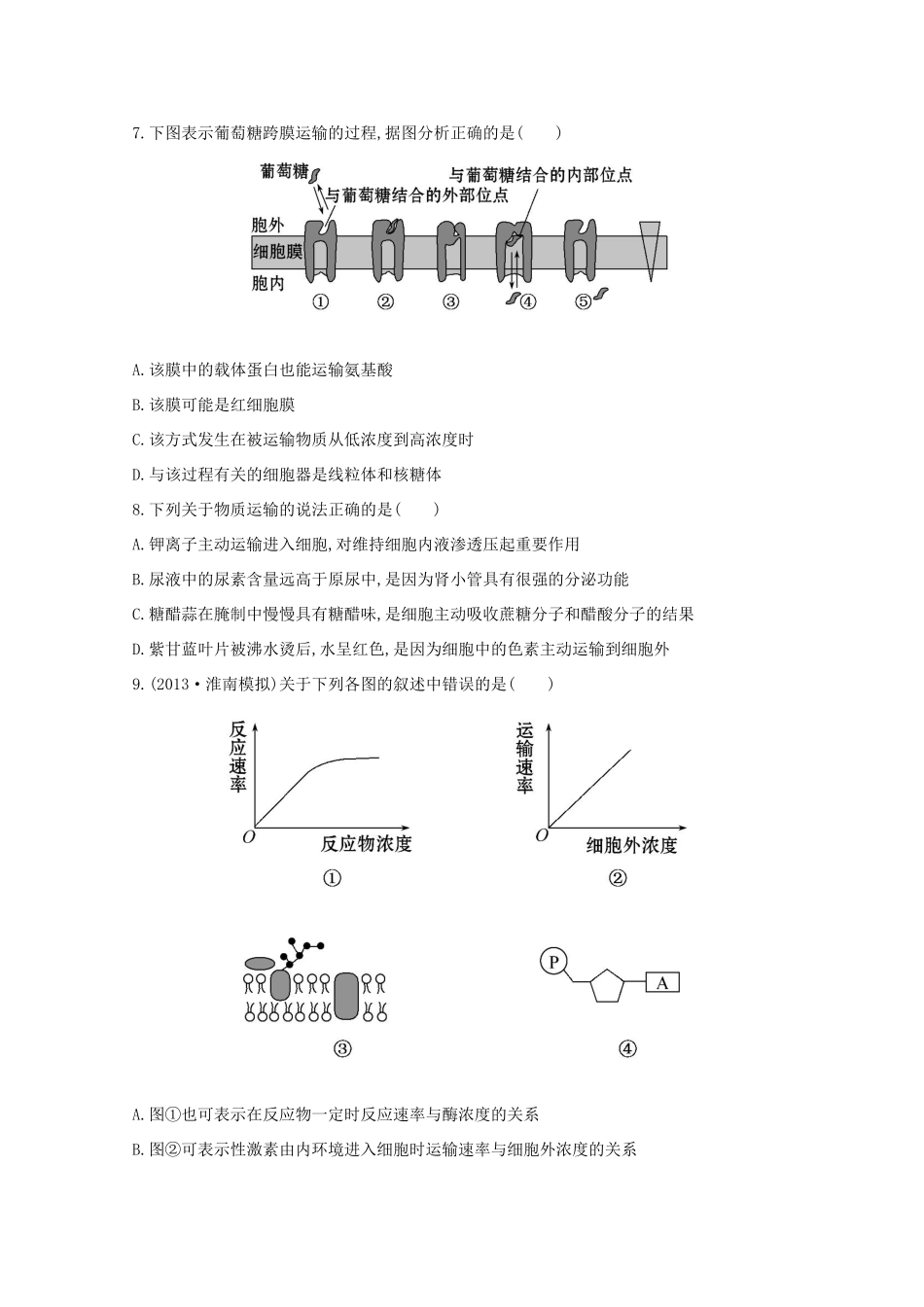 高考生物 物质跨膜运输的方式课时作业_第3页