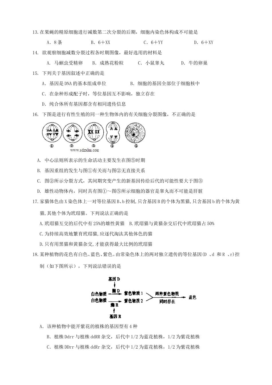 高三生物上学期第二次月考试题-山东版高三生物试题_第3页