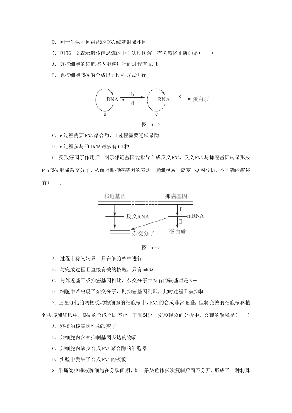 高考生物二轮复习专题限时集训(六) 专题六 遗传的分子基础配套作业（解析版）_第2页