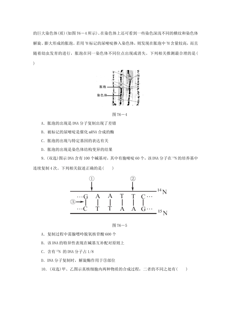 高考生物二轮复习专题限时集训(六) 专题六 遗传的分子基础配套作业（解析版）_第3页