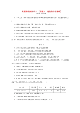 高考生物二轮复习专题限时集训(六) 专题六 遗传的分子基础配套作业（解析版）