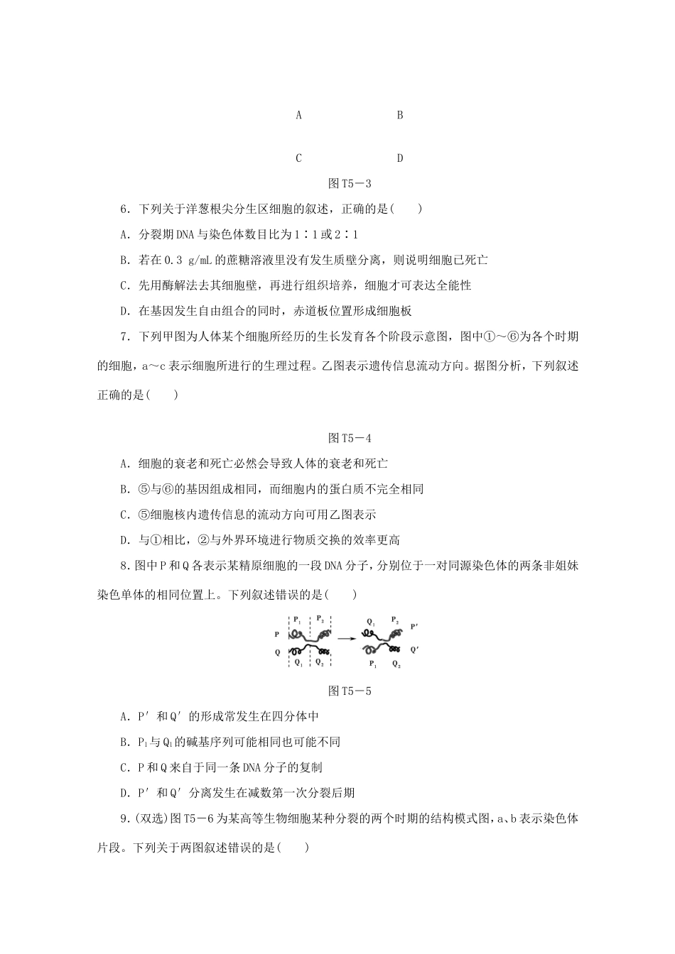 高考生物二轮复习专题限时集训(五) 专题五 有丝分裂和减数分裂配套作业（解析版）_第2页