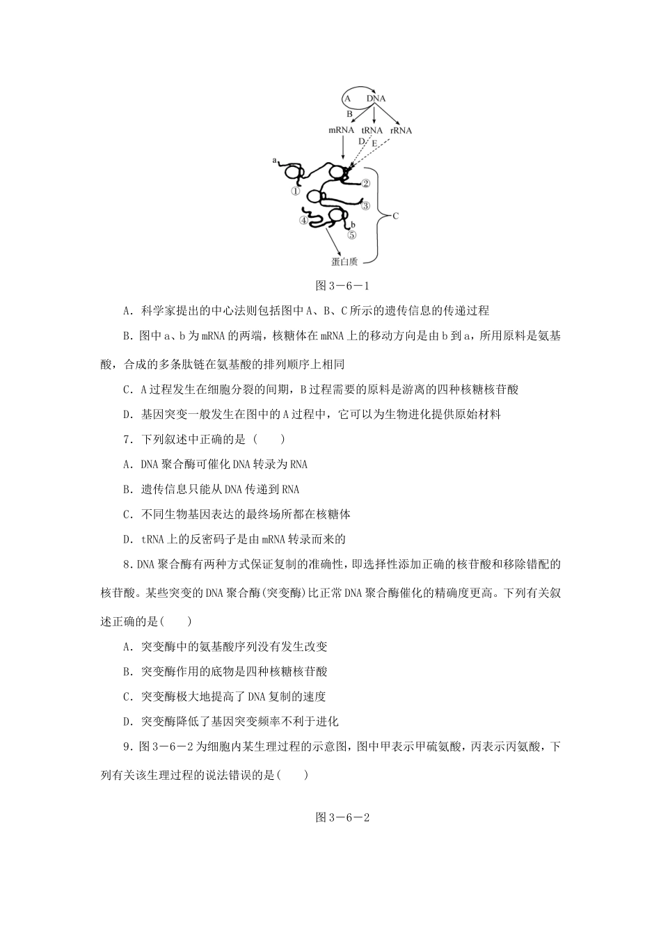 高考生物二轮复习专题限时集训 专题六 遗传的分子基础 新人教版_第2页