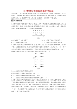 高考物理一轮复习 第10章 磁场 微专题53 带电粒子在直线边界磁场中的运动试题 粤教版-粤教版高三物理试题