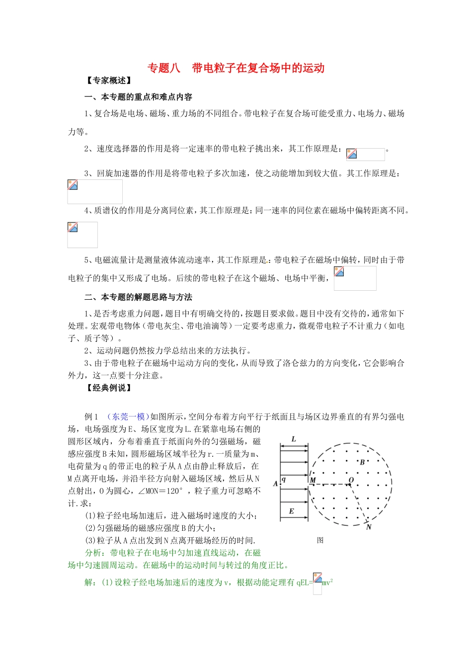 高三物理第二轮专题复习（专家概述+解题思路与方法+专题测试）专题八 带电粒子在复合场中的运动_第1页