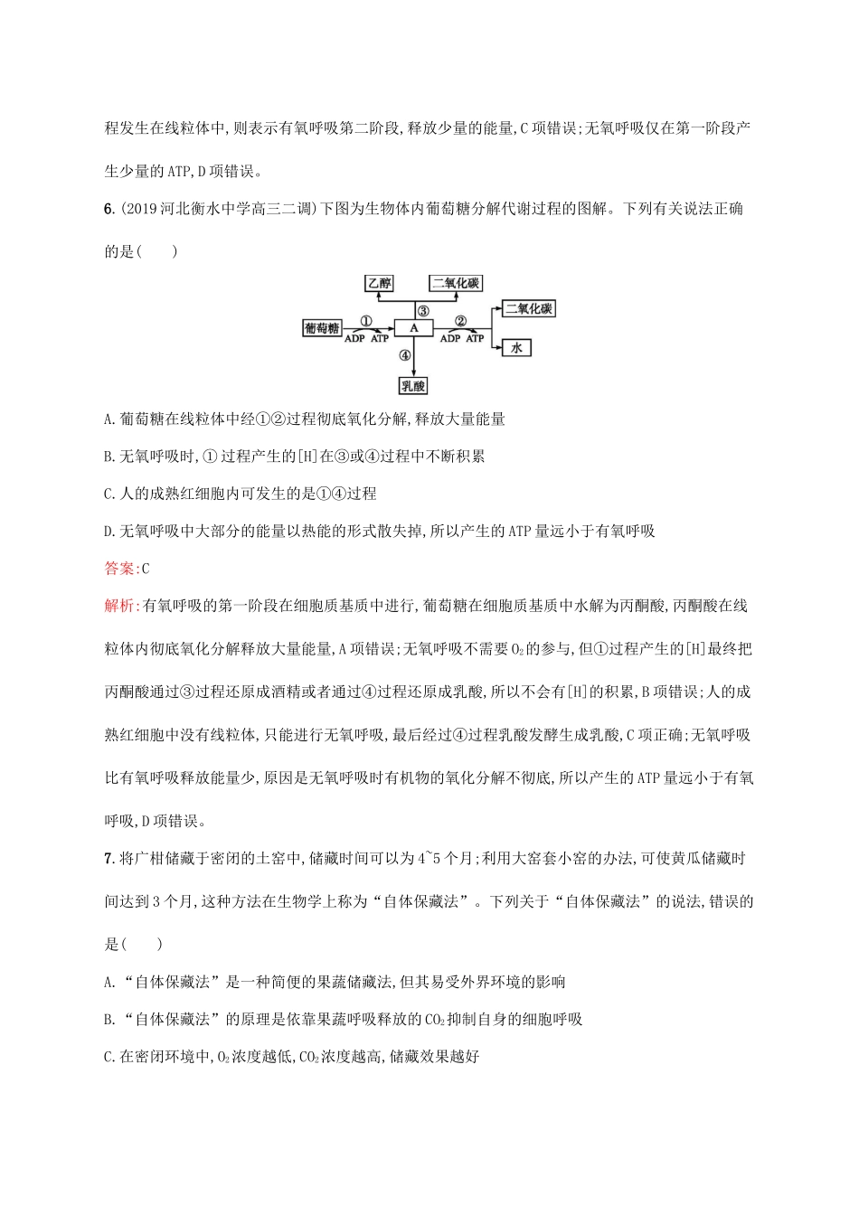 高考生物一轮复习 考点规范练8 细胞的能量“通货”——ATP ATP的主要来源——细胞呼吸（含解析）新人教版-新人教版高三生物试题_第3页