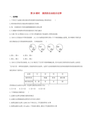 （江苏专版）高考生物一轮复习 第六单元 遗传和染色体（第20课时）基因的自由组合定律模拟训练-人教版高三全册生物试题