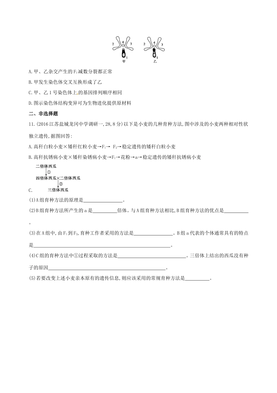（江苏专版）高考生物一轮复习 第六单元 遗传和染色体（第22课时）染色体变异及其应用模拟训练-人教版高三全册生物试题_第3页